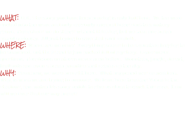 WHAT YOU NEED TO KNOW WHAT: O.K. The story you have been hearing is only half true. We too were sucked into the wave and only narrowly escaped being sent to a watery grave. Sometimes we do things without thinking, but we take our beach patrol seriously. All just trying to save that surf nudnik. WHERE: Where are we now? Everything seems to be a question begging to be answered. But the island is jam-packed full of mystery. Unanswered questions. Suspicious creatures never seen before. Mountain, jungle, desert, badlands and even a beach paradise that drinks up the sky.
WHY: Somehow, we were brought here. What happened was no accident. Why, is what we are trying to uncover. We have been tracking Tubes in the shadows, and watch his story unfold to give us clues to crack this case. How will we ever find our way home? 