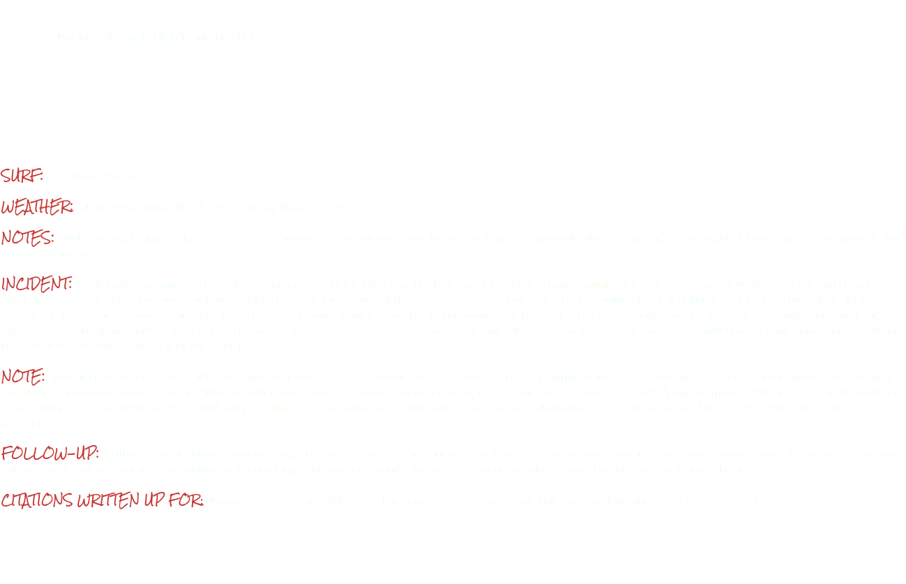  FROM THE DESK OF D.D. MALONE, PI: SURF: Excellent, Swells 7-9 feet WEATHER: Clear and Sunny, Wind: 14-16 Knots, Water Temp 79 NOTES: Woke up with a jolt early this morning to sound of a thundering dune buggy shaking up the whole place again. Office Dog rattled. Local animals disturbed. No injuries reported. INCIDENT: On Tuesday, around 5:45am, local residents reported they saw the boy roar through the thicket along the dirt road in a purple dune buggy and then he disappeared. Later, the young maverick was sighted surfing just inside of the most dangerous part of the reef in prime shark territory. Later in the morning, after raising the flags, and a fantastic breakfast, the Office Dog and I went to investigate the sound and by early afternoon had discovered a secret hideaway and a surf shack disguised in a rough untouched area where the waves seem to create a perfect tube every time. Took a ‘wait and see’ approach, and will continue mapping and searching the area for other clues. No sign of the dune buggy. NOTE: Very irritating and smelly pelican eating fish and making a terrible mess all over the place. Hammock looks comfortable – noticed a shark tooth necklace on a small table but decided not to take it. The suspect is described as a young, blonde-haired, boy maybe 10-11 years old, 4’0-4’4", approximately 70 lbs., wiry build, no shirt, orange shorts and possibly wearing black surf sandals. Anyone with information is asked to contact Detective D.D. Malone at 963-556-4724, or the Office Dog, same number. FOLLOW-UP: Will come back tomorrow if we can, (they are calling for the Storm of the Century) and set up a tree fort for secret surveillance. Aside from all of our usual gadgets, we will need a map, compass, binoculars, rope, camera, comic books, a slingshot, snacks, notepad and Office Dog's teddy bear. CITATIONS WRITTEN UP FOR: Trespassing, surfing, disturbing the peace, not obeying beach rules and making me break my alarm clock. 